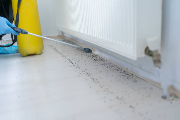 Best Best Pest Control Companies  in East Milton, FL